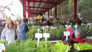 Spring Herb Festival