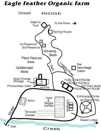 Cabin Rental – NC Ginseng & Goldenseal Company