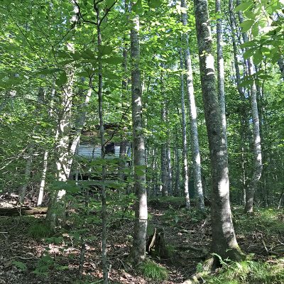 Cabin Rental – NC Ginseng & Goldenseal Company